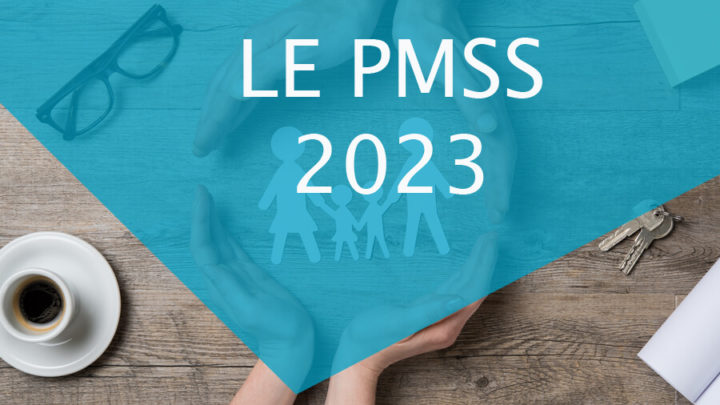 Mieux comprendre le PMSS 2023