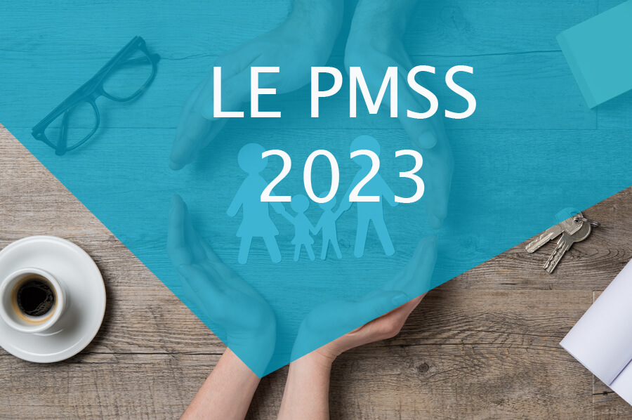 Mieux comprendre le PMSS 2023